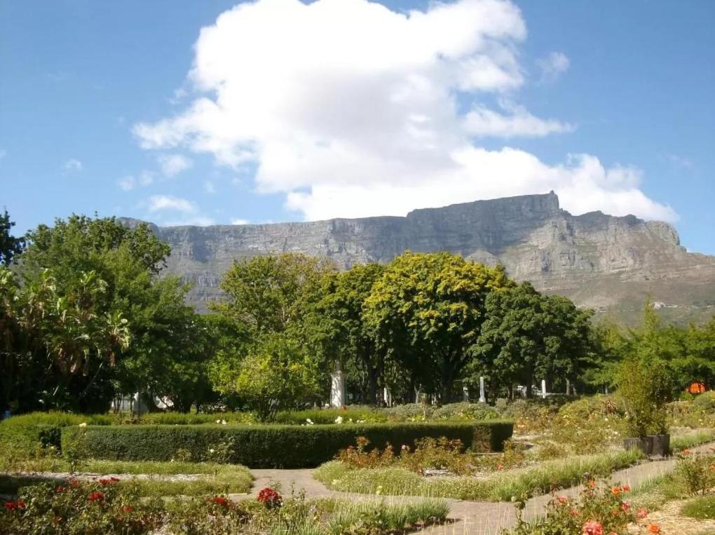 Taj Hotel Cape Town - Luxury 5 Star Suites - Very Spacious With Kitchenette, Lions Head Views Esterno foto